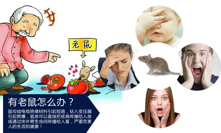 bình xịt muỗi nhật bản Động vật gặm nhấm hộp chống mưa an toàn thuốc diệt chuột gặm nhấm cung cấp thuốc liên tục và kiểm soát gặm nhấm 6 gói - Thuốc diệt côn trùng bình xịt diệt mối