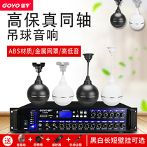  Guoyu Guoyu G-103 Hanging ball ceiling audio Hanging ceiling ceiling speaker set Power amplifier shop