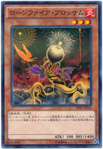 (Hyatt King) N NPR Flat Burst Lone Spark 20AP2 SP12