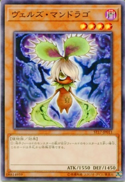 N Pinka to Mandela Japanese Edition ST17 ST18