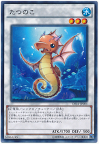 N SR CR SER Dragon 22RC RC02
