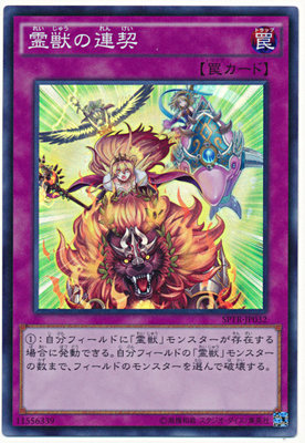 NPC SR Surface Flash Linki SP2 LVP1 Day Edition