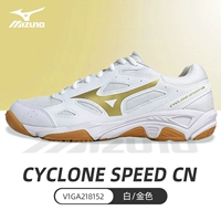 Сумка для обуви, платиновые волейбольные комплексные носки для пин-понга для тренировок