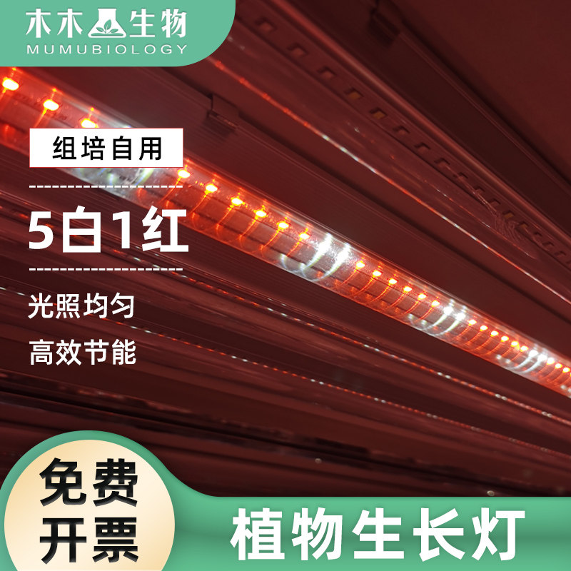 木木生物 led植物生长灯组培灯5红1白植物培养灯 防徒长促生长