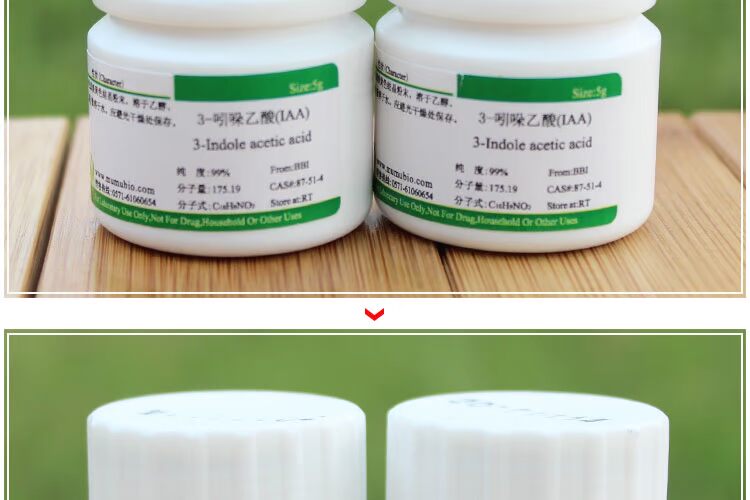 Dụng cụ làm vườn Axit 3-Indoleacetic (IAA) Cắt bột rễ Nuôi cấy mô Thuốc điều hòa sinh trưởng thực vật chau nhua