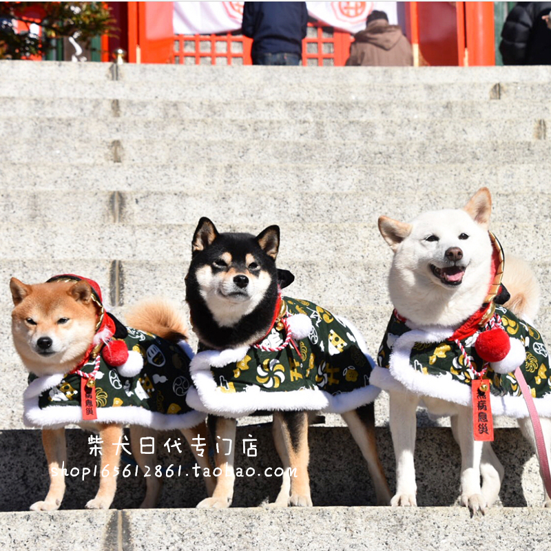 (Japan) 2020 Lunar New Year's New Lion Dance Dressage Dressage Dog Clothes Winter Coat insulation thickened