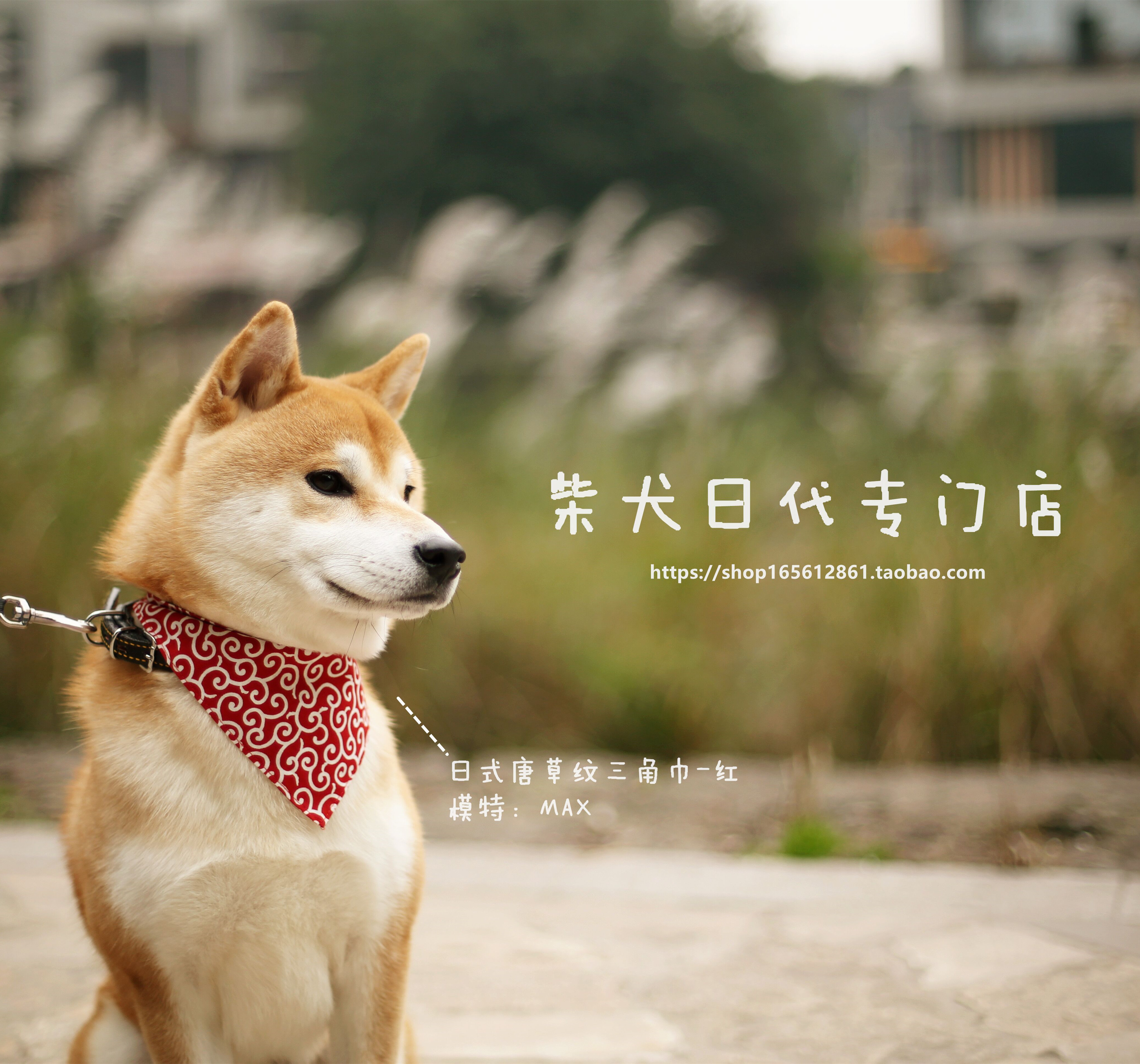 (Customized products) Japanese original imported cloth Shiba Inu triangle scarf customized Shiba Inu Tangcao triangle scarf