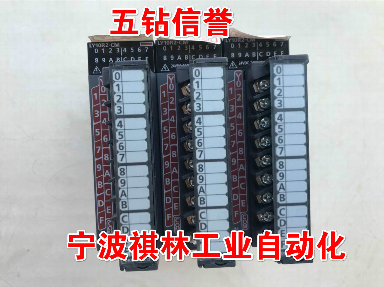 F five-diamond reputation-950% new original Mitsubishi L series 16-point output module LY10R2-CM