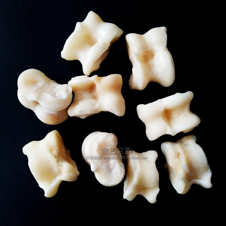 Real sheep bone, Galaha, bones, Mongolian childhood nostalgic toys, Inner Mongolia characteristic crafts