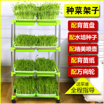 Sprout vegetable planting plate Hydroponic multi-layer vegetable shelf soilless cultivation Bean sprout seedling plate Sprout seeds