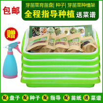 Sprout seed seedling tray with cover Seedling box Sprout planting tray Soilless cultivation Hydroponic vegetable rack