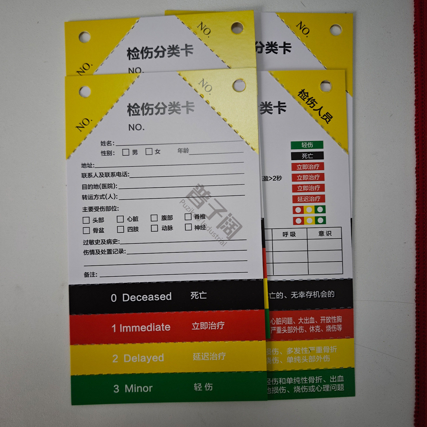 宠物嗓子卡怎么办?2026年最新急救指南与预防方案