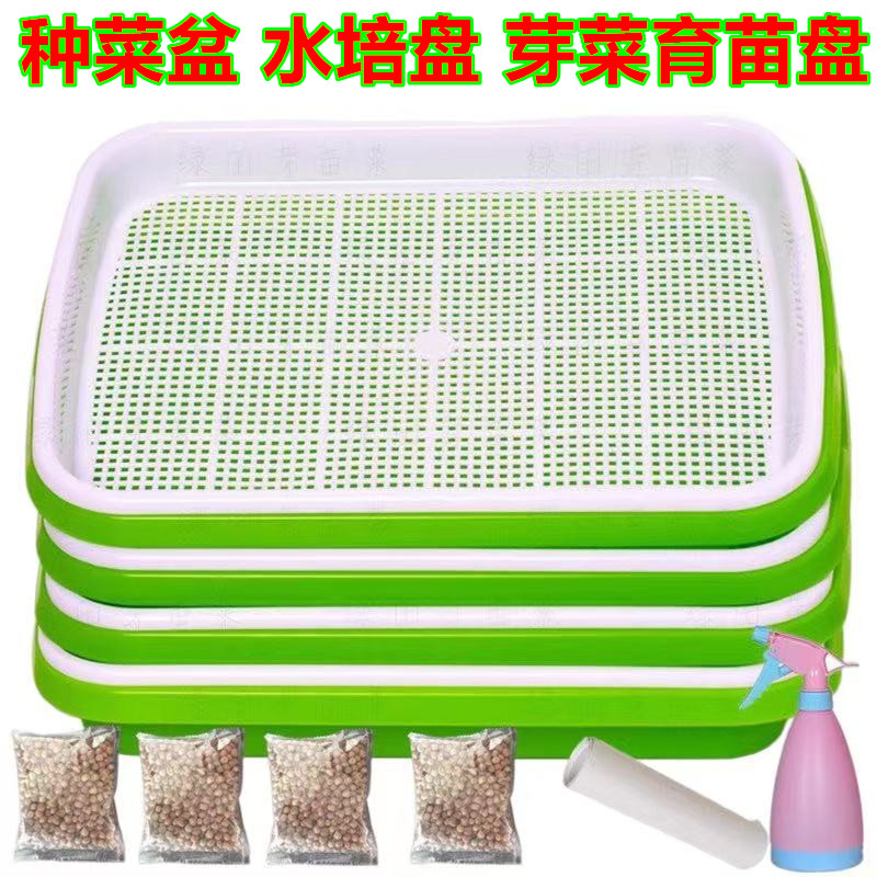 探索家庭绿意空间：蒜苗种植与芽苗菜的神奇托盘