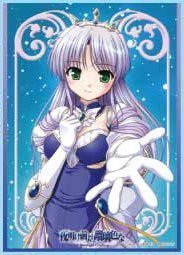 The Holy Places Sleeves 67 * 92 Night Before the glazed colors August Social Fina