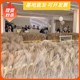 Natural reed dried flower bouquet Internet celebrity real flower living room decoration wedding props pink reed dried flower floor decoration