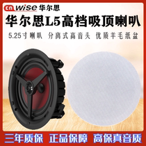 Huarth L5 family background music system suction-top loudspeaker sound embedded in separated alt-head sound box