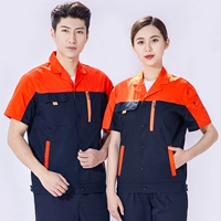 Комплект, делюкс издание, короткий рукав