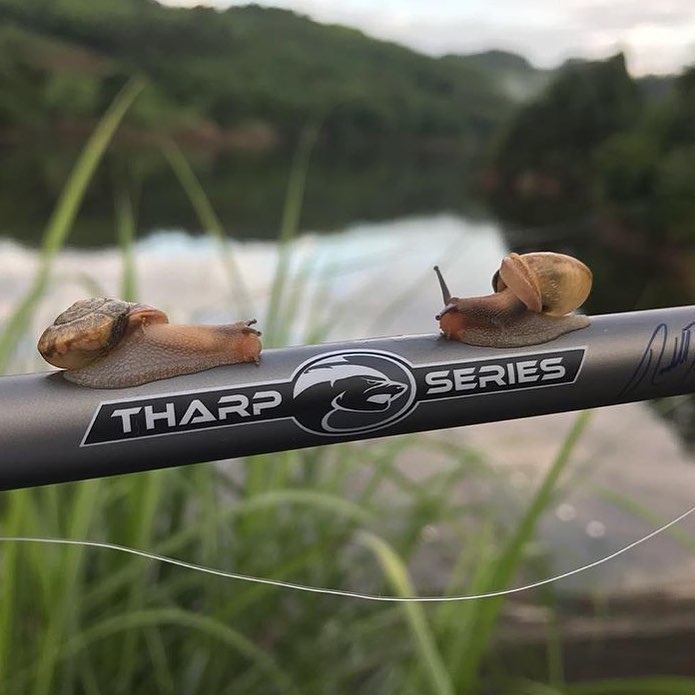 American ARK THARP series Solo Excerptic Bass Fishing Road Ypoles Import Competition Beauty Fishing Rod 999 Divine Rod