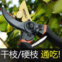 German precision pruning shears gardening fruit tree scissors garden flower labor-saving scissors fruit picking artifacts