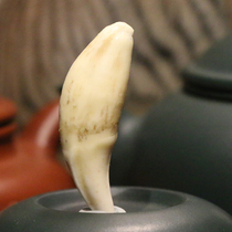 Ziyunhui boutique dog tooth pendant