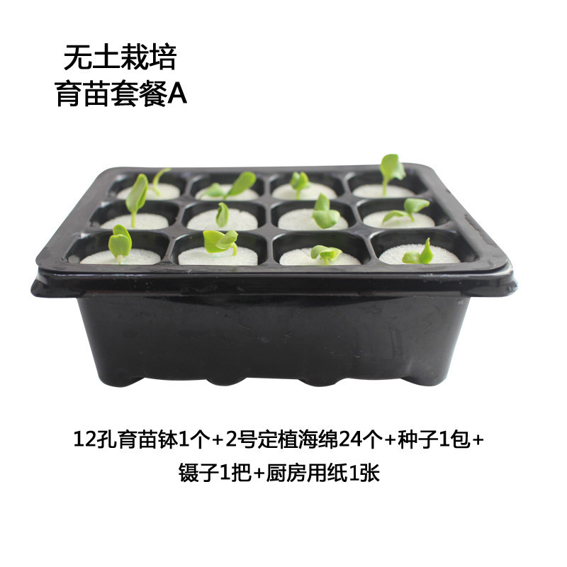 Lucky buyer Hydrobacon leaf vegetable fruit and vegetable flower special tool complete 3 sets of soilless cultivated seedlings package A