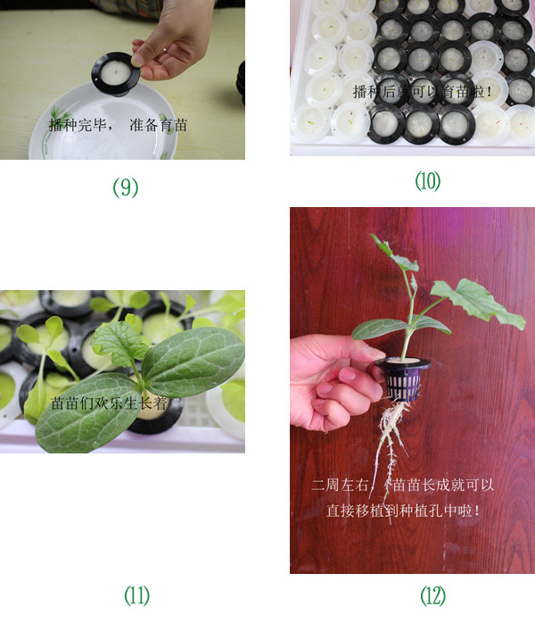 Thủy canh rau cây giống trồng khác nguồn cung cấp vườn trồng phù hợp với bông 5 đường kính 50 mét 100 vòng vòi tưới cây tăng áp