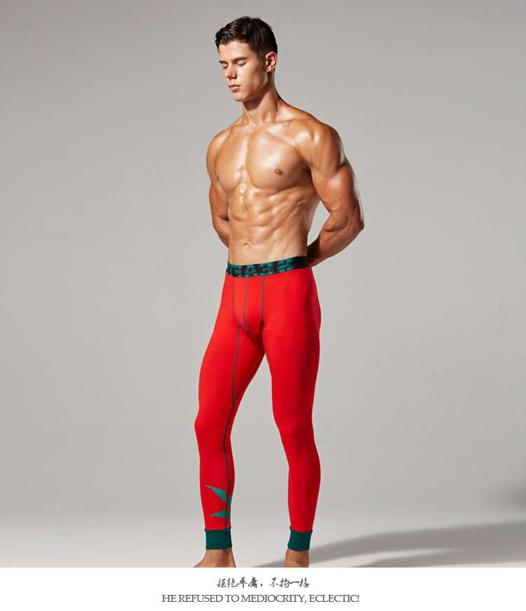 Quần tây nam mùa thu mỏng Quần legging cotton bó sát thấp Quần dài hợp thời trang Quần thun cotton ấm áp phiên bản Hàn Quốc của quần short đơn giản quần ấm nam cao tuổi
