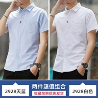 2928 дней синий+2928 белый