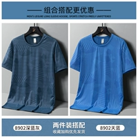 8902 Deep Blue Grey+8902 Day Blue