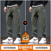 665 зеленый милитари плюс бархат + 665 зеленый милитари плюс бархат