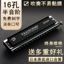 Japanese imported sound Reed Swan dreamer 16-hole 12-hole harmonica beginner advanced adult professional performance