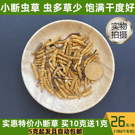 Authentic Cordyceps sinensis Tibet Nagqu Cordyceps sinensis Qinghai Yushu first phase Cordyceps flagship store early new hay