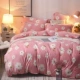 Mùa đông nhung dày bốn bộ đồ giường cotton giặt flannel flannel ba 4 bộ lông cừu san hô