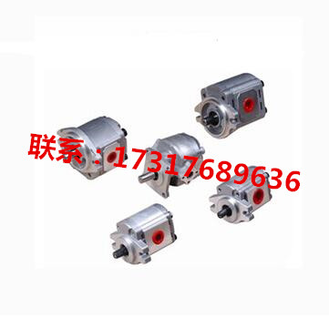 Taiwan gear pump P106RP01GTP107RP01GTP109RP01GT