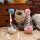OCA feather funny cat stick игрушка для кошек-неваляшка self-hi bell волосяной мяч для настольного тенниса, устойчивый к укусам, забавный кошачий артефакт mini 2