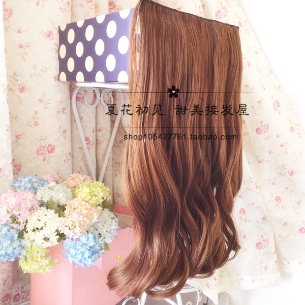 Extension mèches - Ref 218862 Image 22