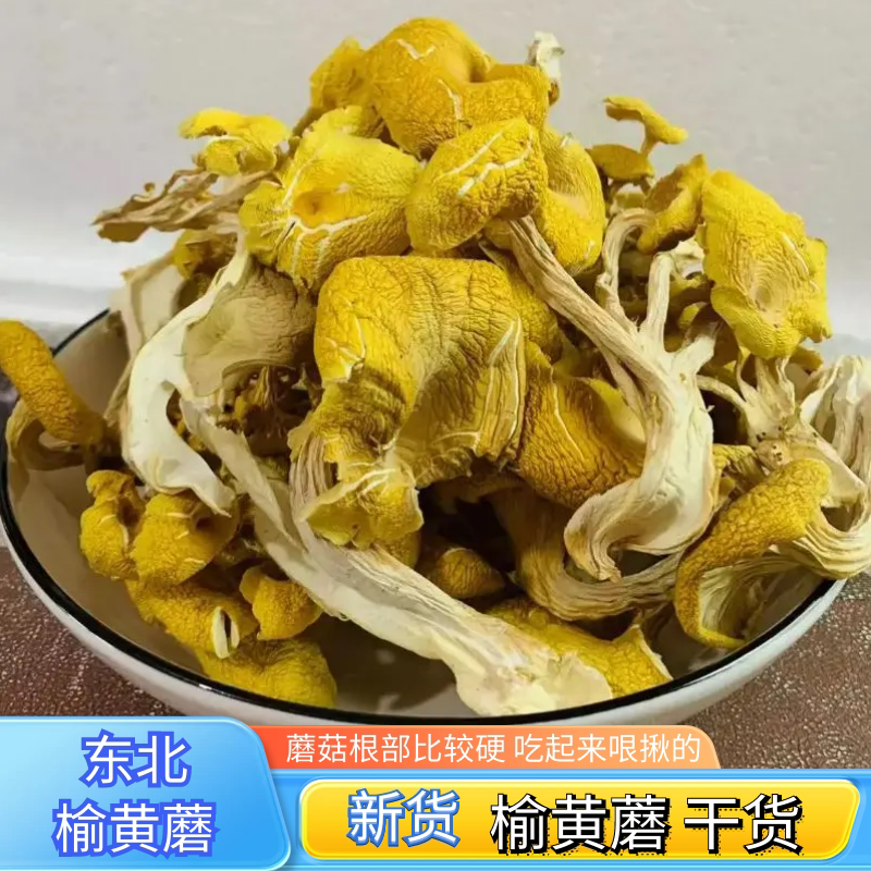 Northeast Wild Elm Yellow Mushroom Dry Gold Top Mushroom Yellow Mushroom Golden Mushrooms Dry Mushrooms Elm Mushroom 500g-Taobao
