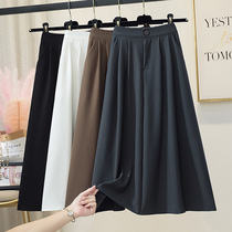 Special cabinet half-body dress Women 2022 spring high waist a long section 100 lap large swing display slim casual shade umbrella skirt