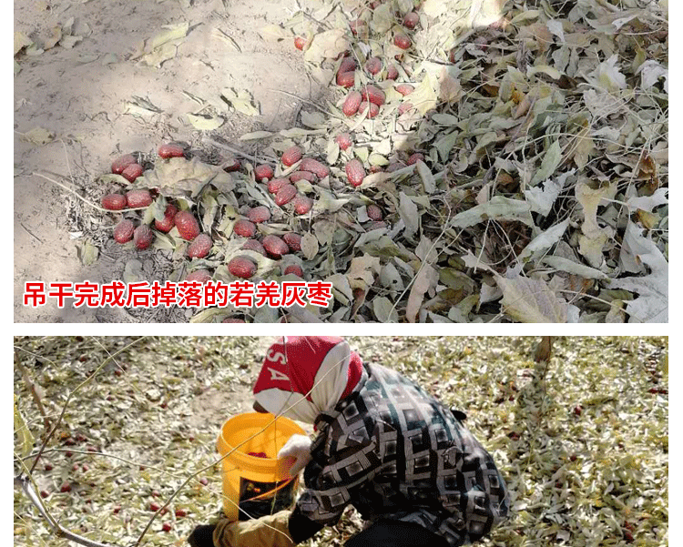 若羌红枣灰枣新疆特产一级
