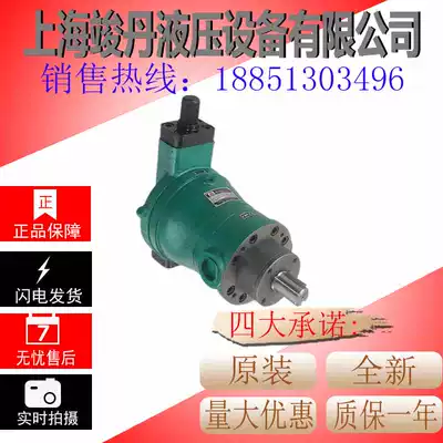 10YCY 25YCY 40YCY 63YCY 80YCY 100YCY 160YCY14-1B Shanghai plunger pump