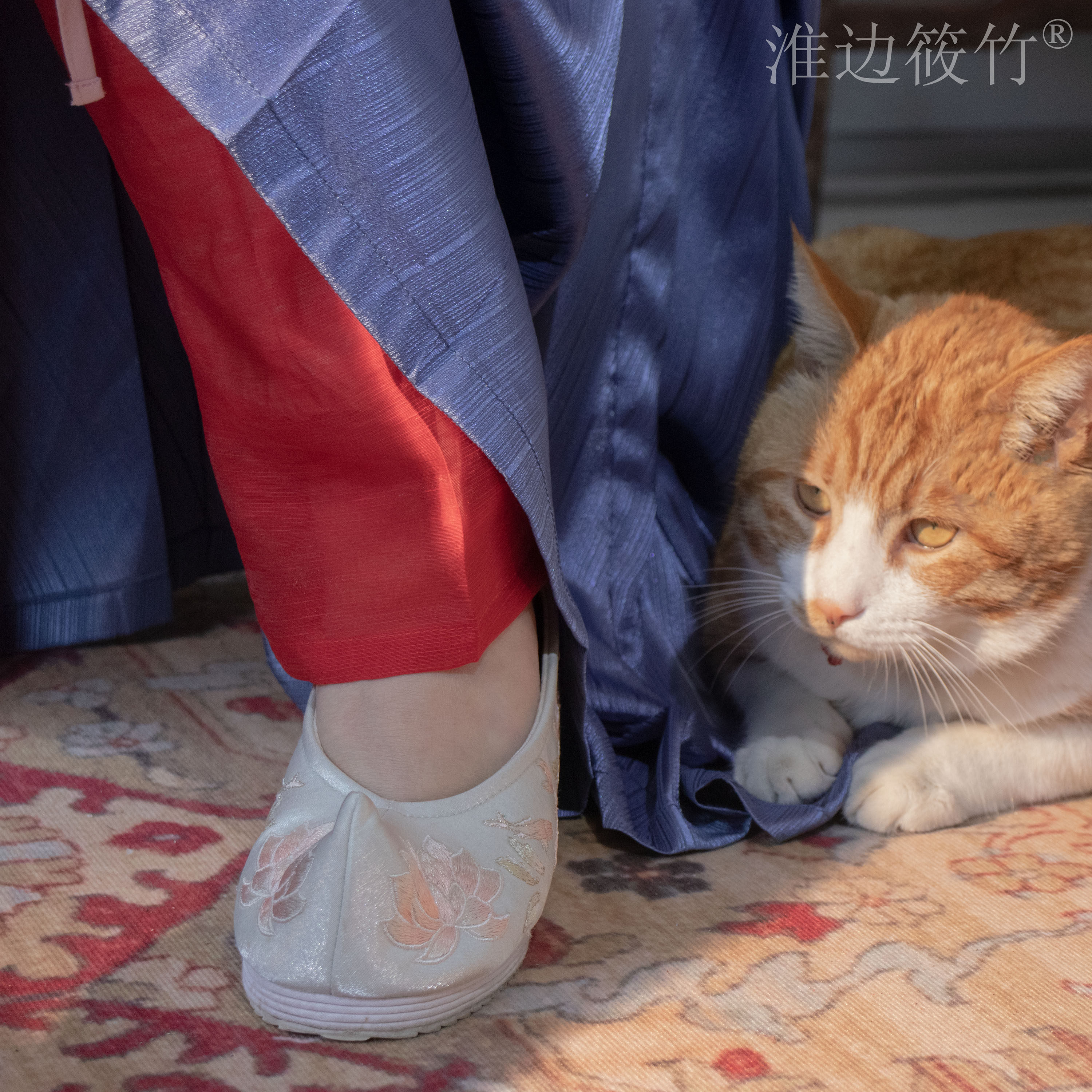 汉服裤装 淮边筱竹 复原明制膝裤 暗纹纱缎面女装汉服裤袜配饰