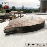 Натуральный лист Тинбу Каменный внутренний двор грунтовые плитки, кузнечики, каменный сад на открытом воздухе.