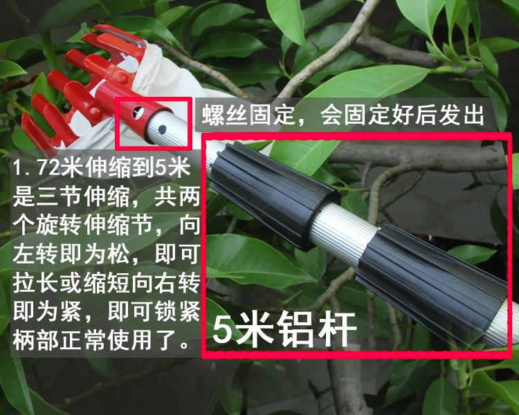 Chọn dụng cụ làm vườn arbutus, hái trái cây cao độ, làm vườn, làm vườn, hái, hái thủ công, hái trái cây, trái cây