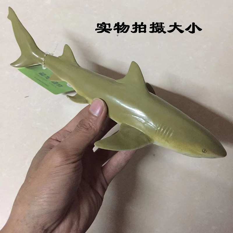 Игрушки-животные 鲨鱼玩具软胶大号大白鲨巨齿鲨仿真海洋动物生物模型海底世界鲨鱼 Hikohiro
