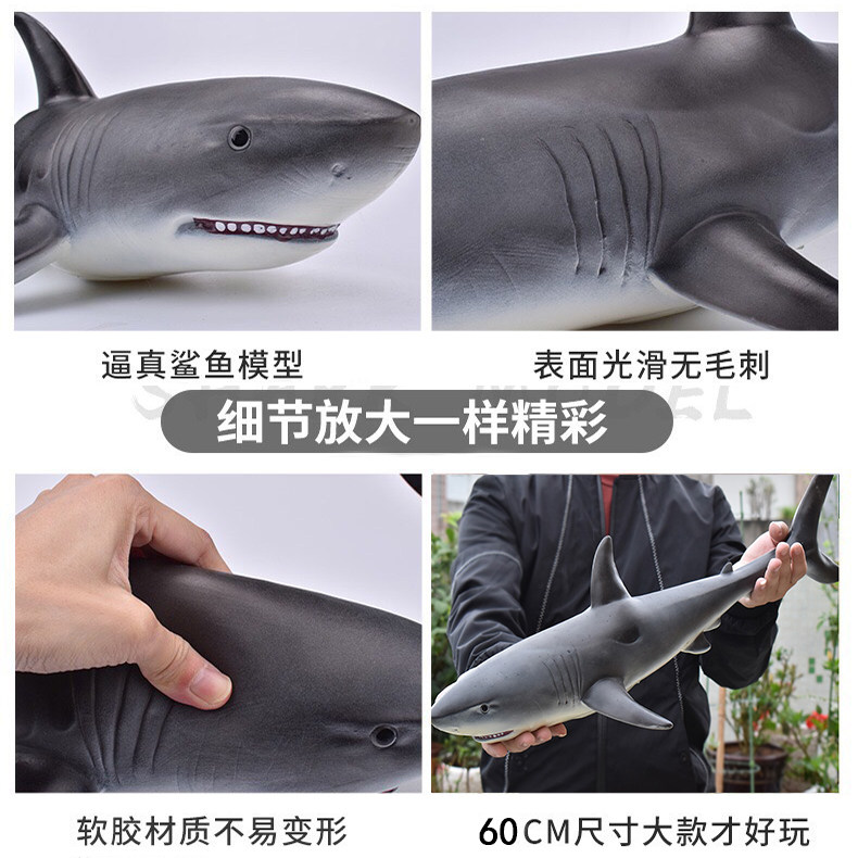 Игрушки-животные 鲨鱼玩具软胶大号大白鲨巨齿鲨仿真海洋动物生物模型海底世界鲨鱼 Hikohiro