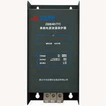 Zhongguang lightning protection box ZGDD20 40 60 80 (TY) 220V single phase power surge protection box machine room