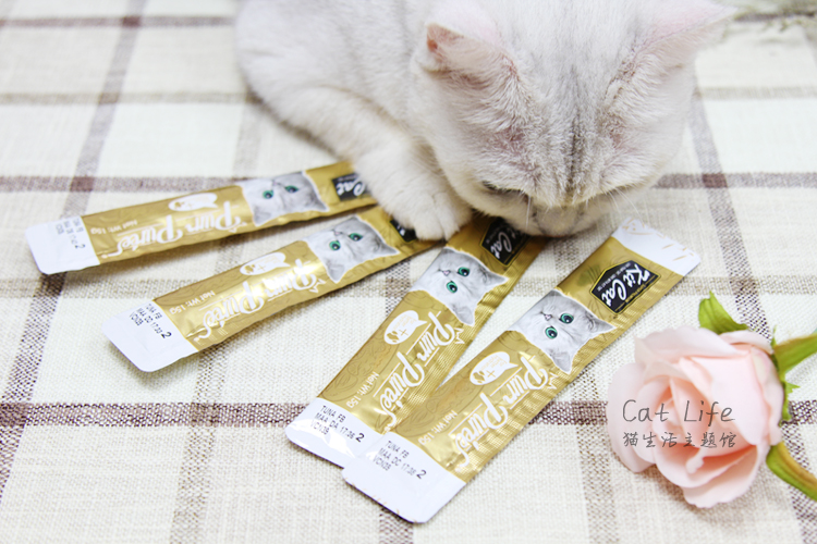 Cat Life / Bộ nhập khẩu Singapore Cat Jirong Mud Cat Chất lượng lỏng Đồ ăn nhẹ Kem dinh dưỡng Cat Cat Snacks - Đồ ăn nhẹ cho mèo Hạt Cateye cho mèo có tốt không