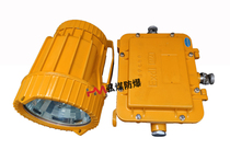 (supplied) DGS70-127B (A) Mine flame-proof floodlight 70W gold halogen lamp