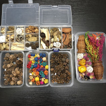 Kindergarten log wind environment layout wall decoration natural small dry flower seed ring creation diy manual material package