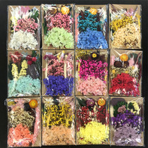 Kindergarten ring decorated immortal flower press cluster fan manual dry flower diy hanging materials baoshi bouquet